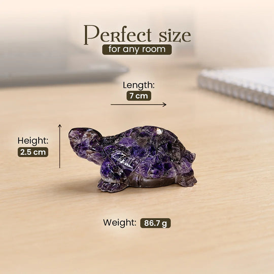 Amethyst Tortoise (Kachhua)