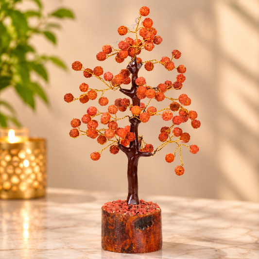 Panchmukhi Rudraksh tree