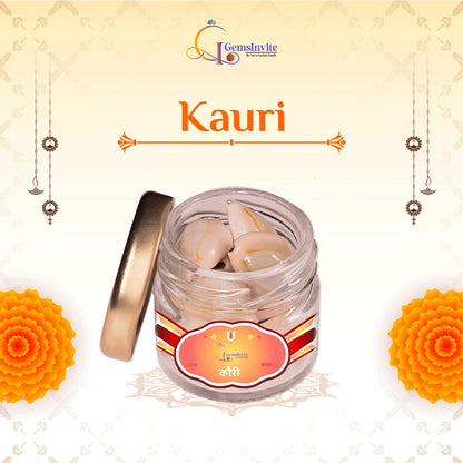 Lakshmi Ganesh Sukh - Samriddhi Kit With 1 gm Silver Coin
