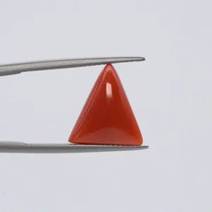 Natural Red Coral - 5.96ct