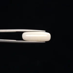 White Coral - 3256