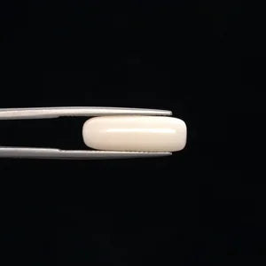 White Coral - 3261