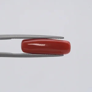 Natural Red Coral - 6.35ct