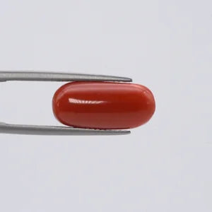 Natural Red Coral - 7.43ct