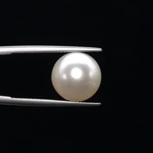 Pearl - 3585