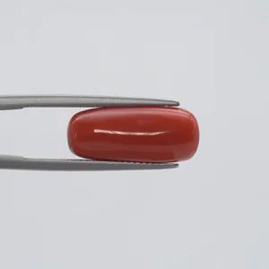 Natural Red Coral - 7.92ct