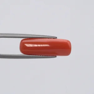 Natural Red Coral - 6.57ct