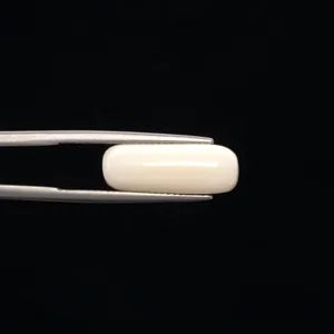 Natural White Coral - 7.62ct