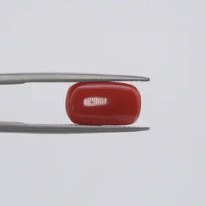 Natural Red Coral - 3.79ct