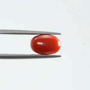 Natural Red Coral - 1.82ct