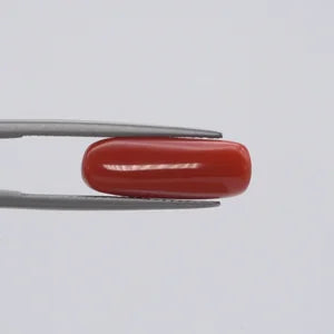 Natural Red Coral - 6.21ct
