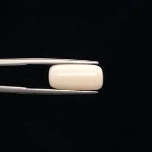 Natural White Coral - 7.76ct