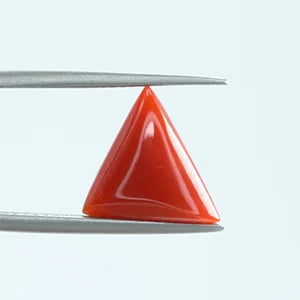 Natural Red Coral - 3.80ct