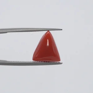 Natural Red Coral - 5.52ct