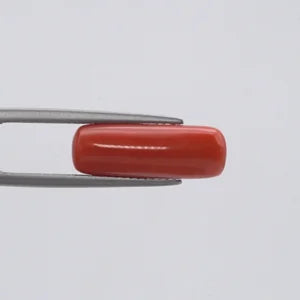 Natural Red Coral - 6.69ct