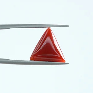 Red Coral - 1407