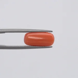 Natural Red Coral - 4.26ct