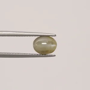 Natural Cats Eye - 3.12ct
