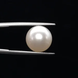Pearl - 3623