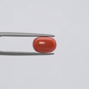 Natural Red Coral - 2.86ct