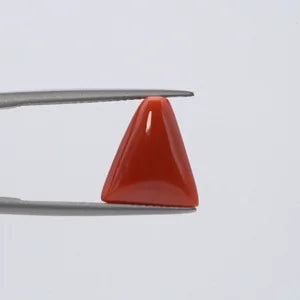 Natural Red Coral - 6.60ct
