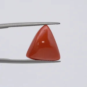 Natural Red Coral - 10.68ct