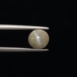 Natural Cats Eye - 3.04ct