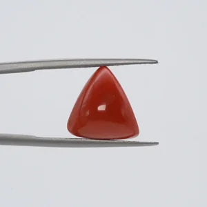 Natural Red Coral - 7.44ct