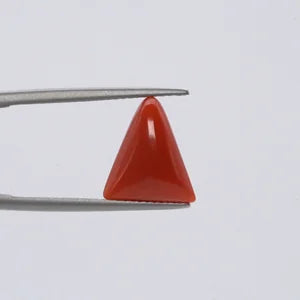 Natural Red Coral - 4.69ct