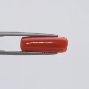 Natural Red Coral - 6.36ct