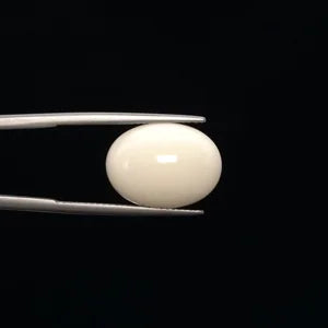 White Coral - 784