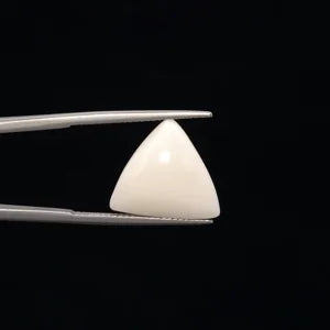 Natural White Coral - 8.62ct