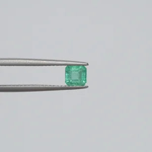 Natural Emerald - 0.66ct