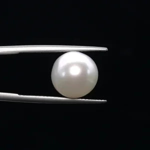 Pearl - 3589