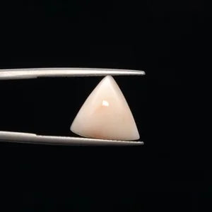 White Coral - 780