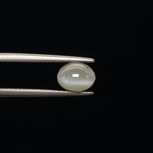 Natural Cats Eye - 3.25ct