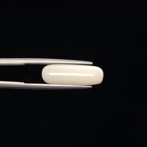 White Coral - 3274