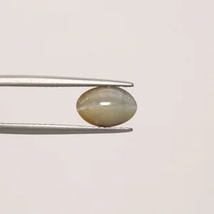 Natural Cats Eye - 2.98ct