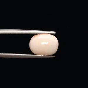 White Coral - 774