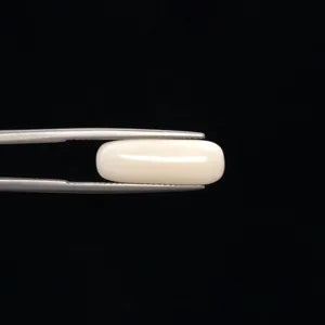 White Coral - 3260