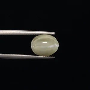 Natural Cats Eye - 7.60ct