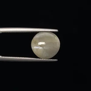 Natural Cats Eye - 6.66ct