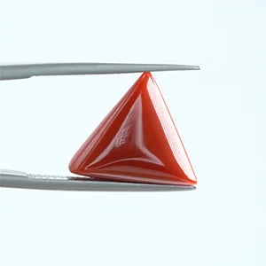 Natural Red Coral - 6.81ct