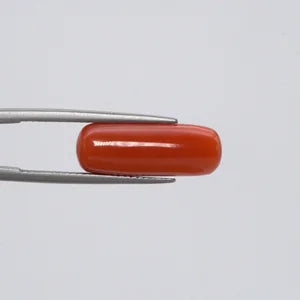 Natural Red Coral - 8.67ct