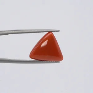 Natural Red Coral - 6.31ct
