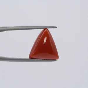 Natural Red Coral - 6.72ct