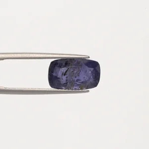 Iolite - 2954