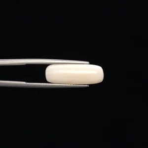 Natural White Coral - 6.78ct