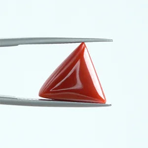 Natural Red Coral - 6.89ct