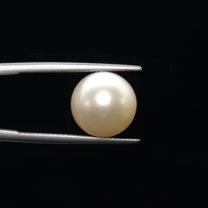 Pearl - 3615